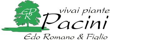 Vivai Pacini